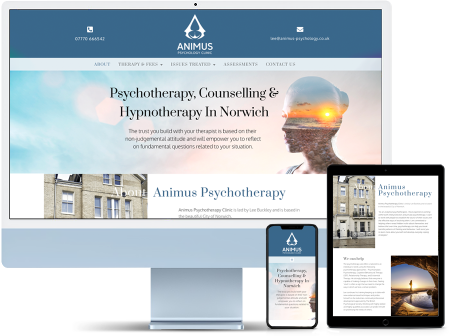 Website design of Animus Psychology Clinic by Cameron Creative